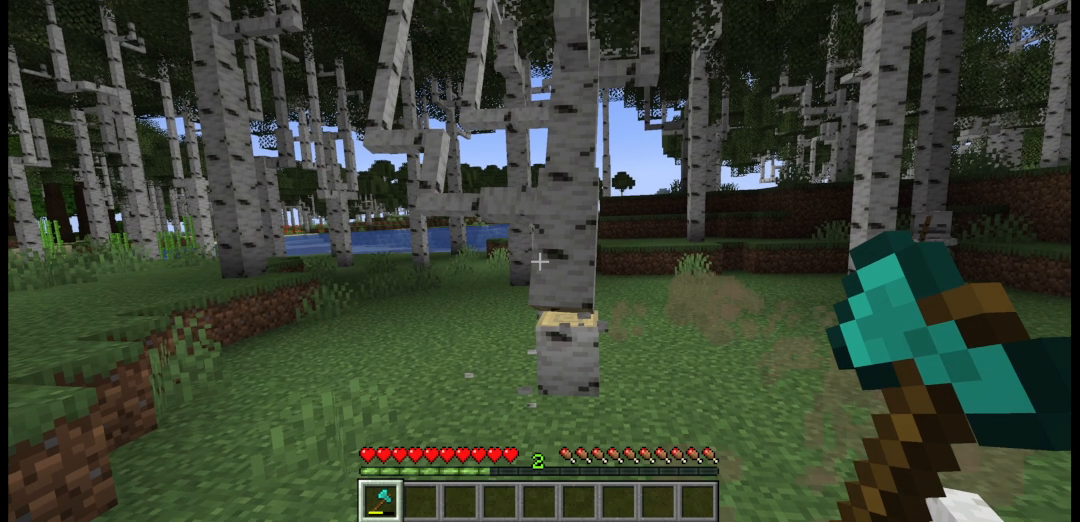 02 felled birch wreckage